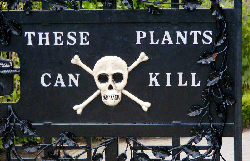 Alnwick Poison Gardens