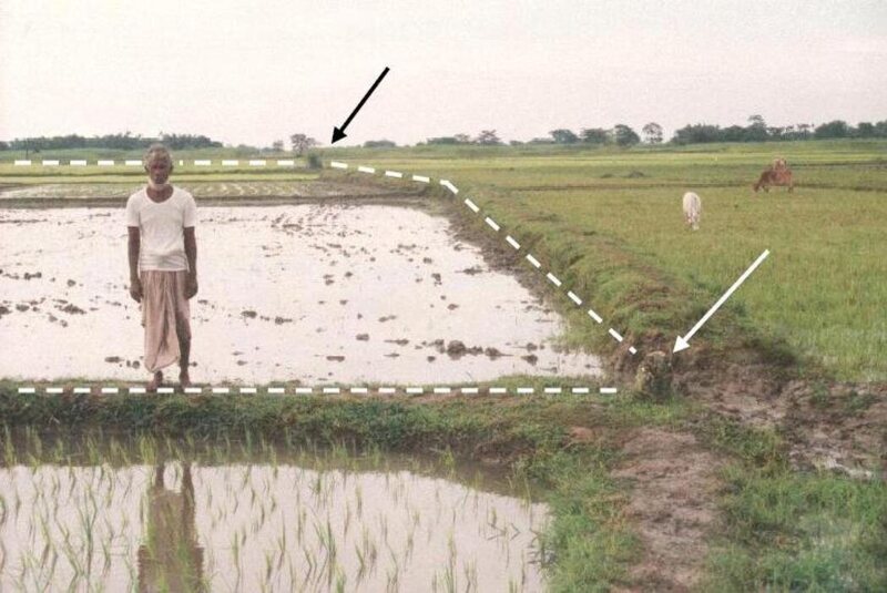 Dashed line is an international border; Bangladeshi farmer in foreground