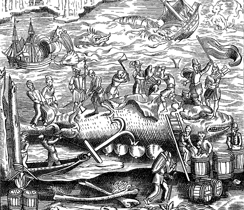 A woodcut illustration of whalers in the 1500s, surrounded by all sorts of strange creatures.