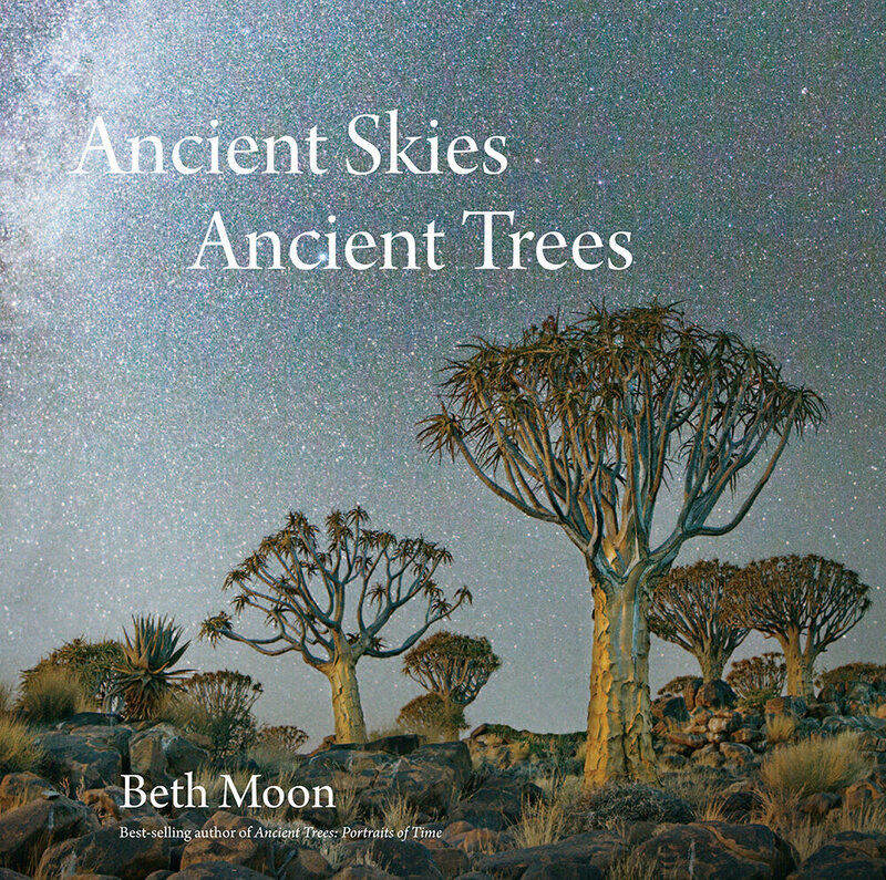 The cover to <em>Ancient Skies Ancient Trees.</em>