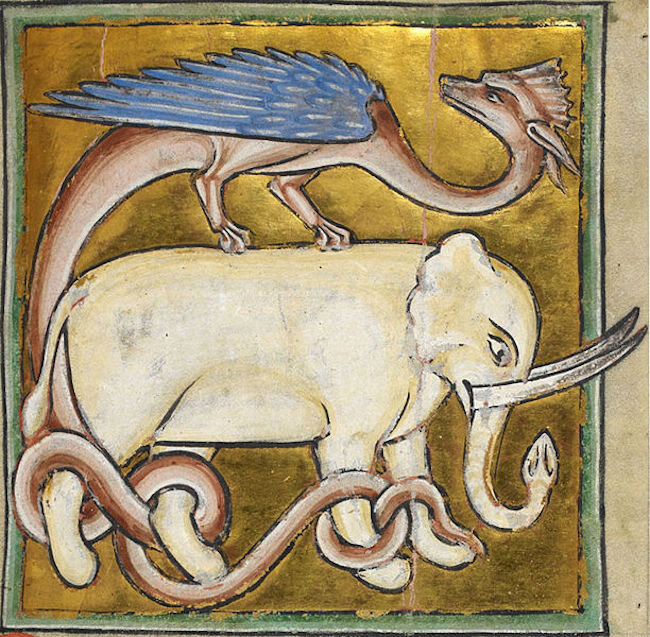 Why Did Medieval Artists Give Elephants Trunks That Look