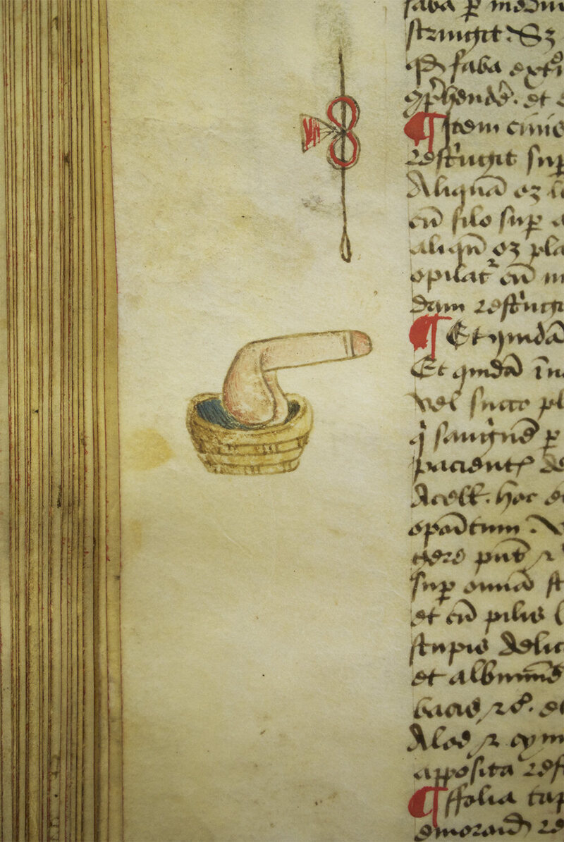 Un pene sin cuerpo en una cesta en la década de los márgenes del tratado de Arderne.