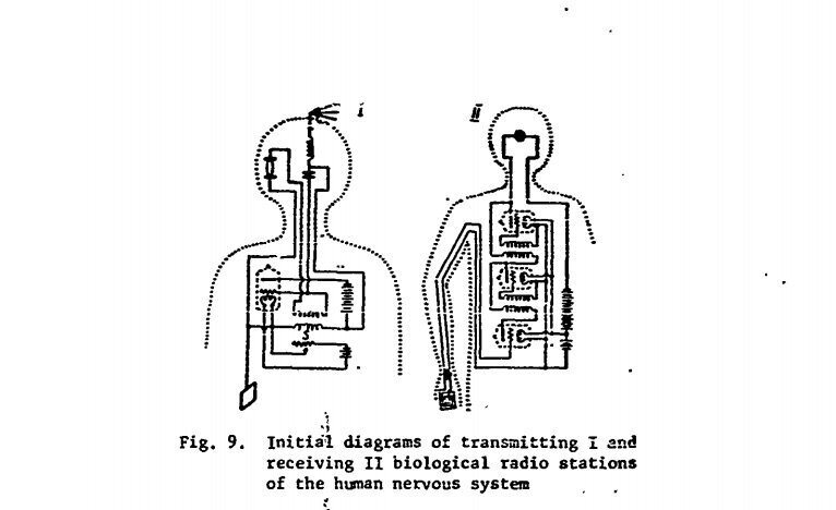 Kazhinskiy's sketch of the human biological radio transmitter.