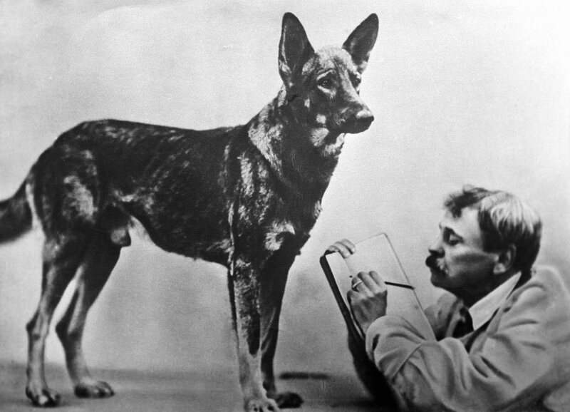 V.L. Durov and a dog, during an experiment.