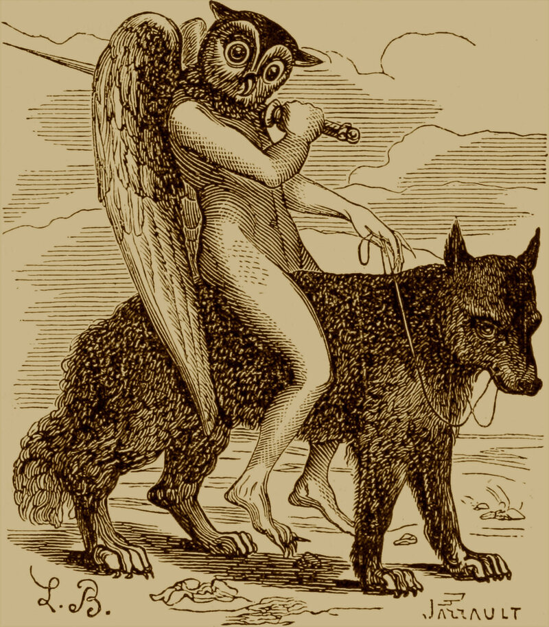 The demon Andras, with the head of an owl and the body of an angel.