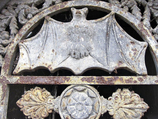 Bat in Père Lachaise Cemetery in Paris