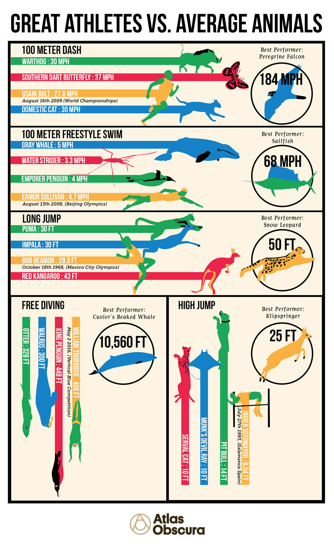 A Visual Guide to How Terribly the World's Best Human Athletes Fare Versus  Most Average Animals - Atlas Obscura