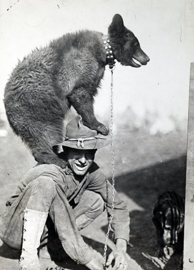A bear mascot climbs up on the shoulders of a soldier.