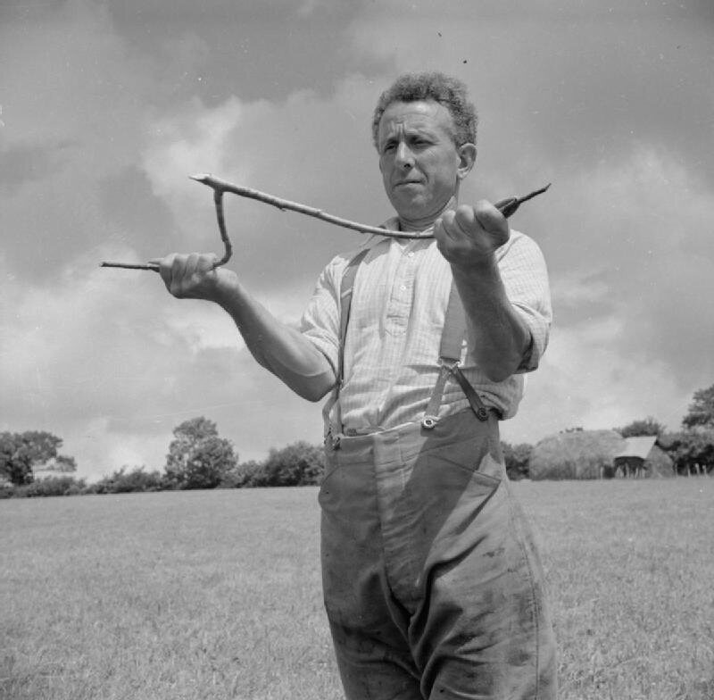 The Dingleberry Farmer George Dingle Ireland Berries Paddy's Day