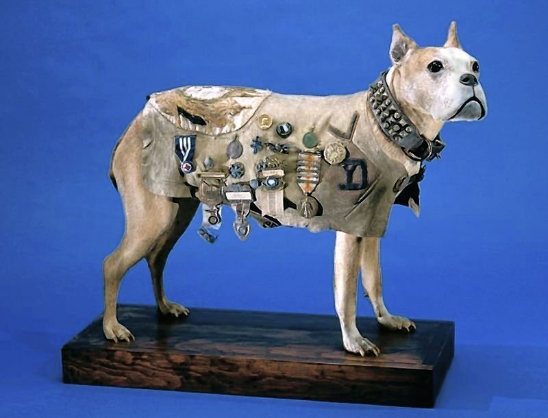 Essential Guide: Taxidermy Heroic Animals - Atlas Obscura