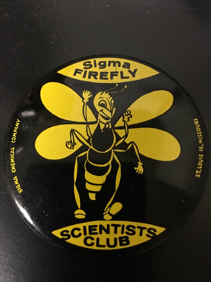 An official pin for proud members of the Sigma Firefly Scientists Club. (The tail glows in the dark.)