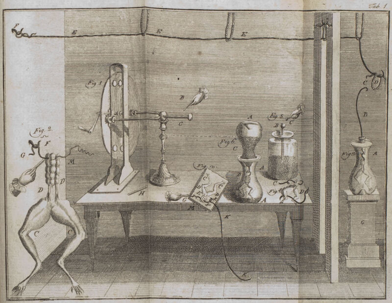 Uno schizzo dell'esperimento del muscolo rana del 1780 di Luigi Galvani.