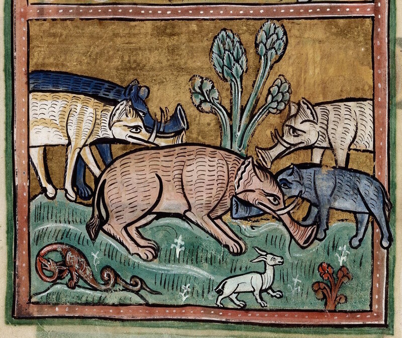 Why Did Medieval Artists Give Elephants Trunks That Look