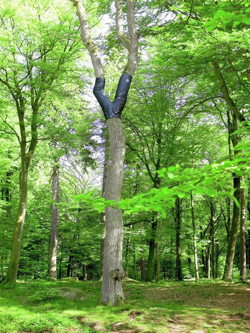 A jaunty selection from Peter Coffin's 2006 series, "Untitled (Tree Pants)."
