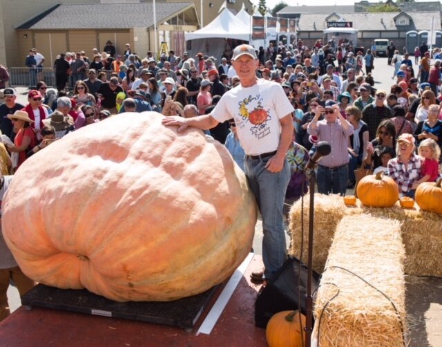 The Massively Friendly World of Competitive Giant Pumpkin Growing - Gastro Obscura