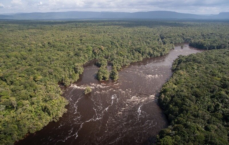 Guyana's Potaro Plateau is a biodiversity hotspot. 