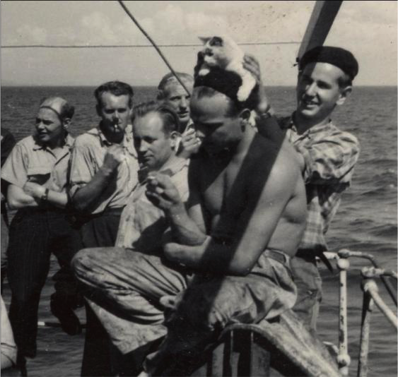 Finnish sailors playing with a cat. 