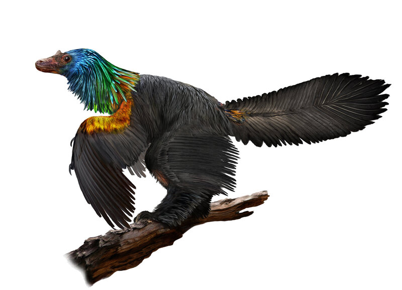 <em>Caihong juji</em> was a study in contrasts.