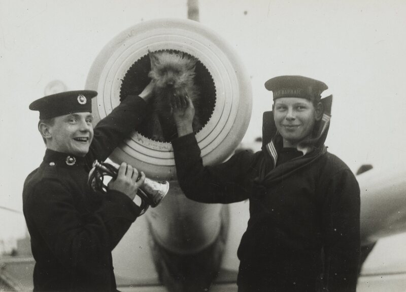 British sailors with a mascot from the surrendered German fleet, November 1918. 