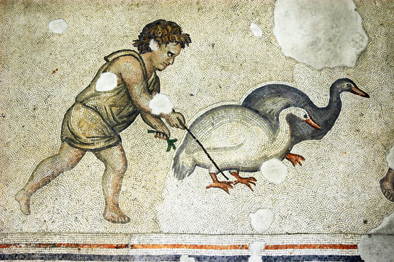A scene of a boy herding geese in the Great Palace, in            Istanbul, Turkey.