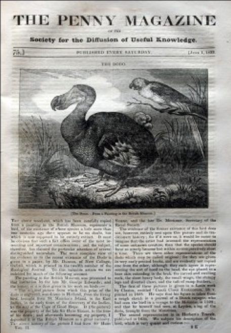 dodo - Atlas Obscura
