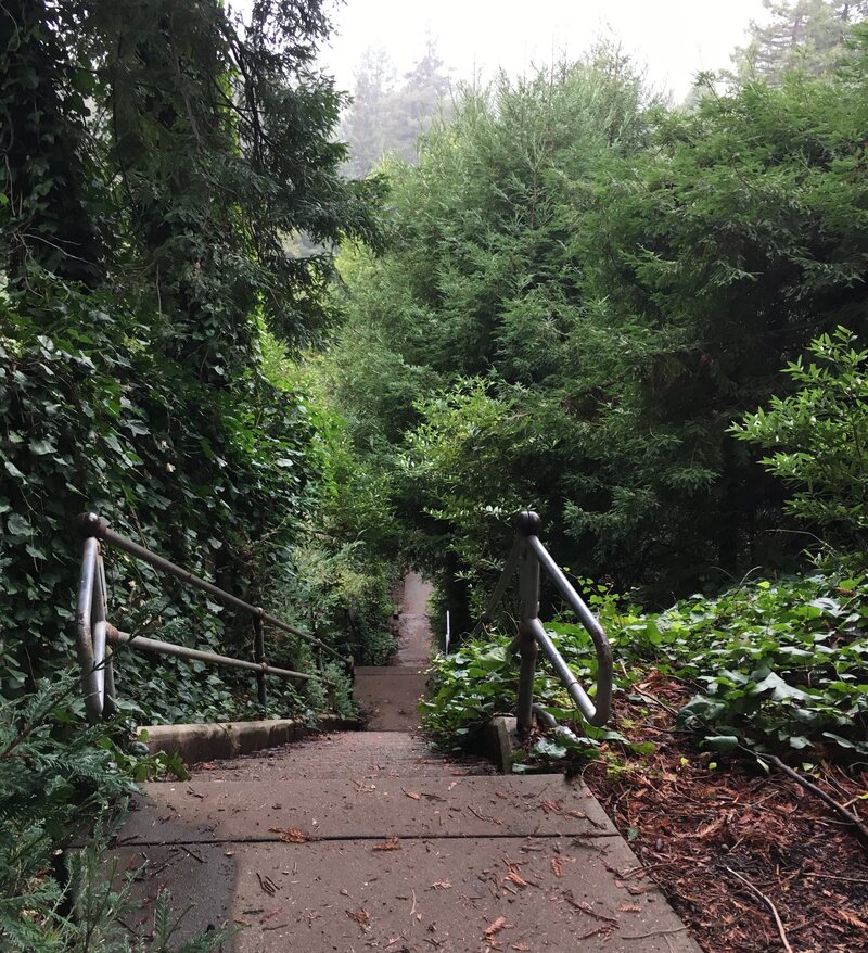 The view from the top of a staircase that helps make up Berkeley's Covert Path.