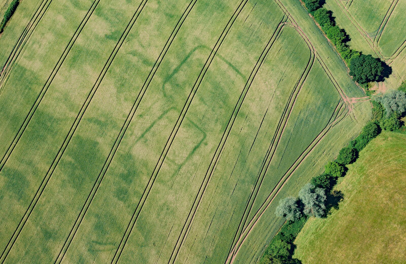 A newly discovered cropmark, revealing a prehistoric site.