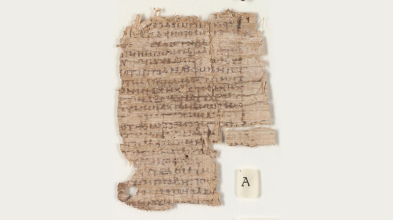 The papyrus before conservation.