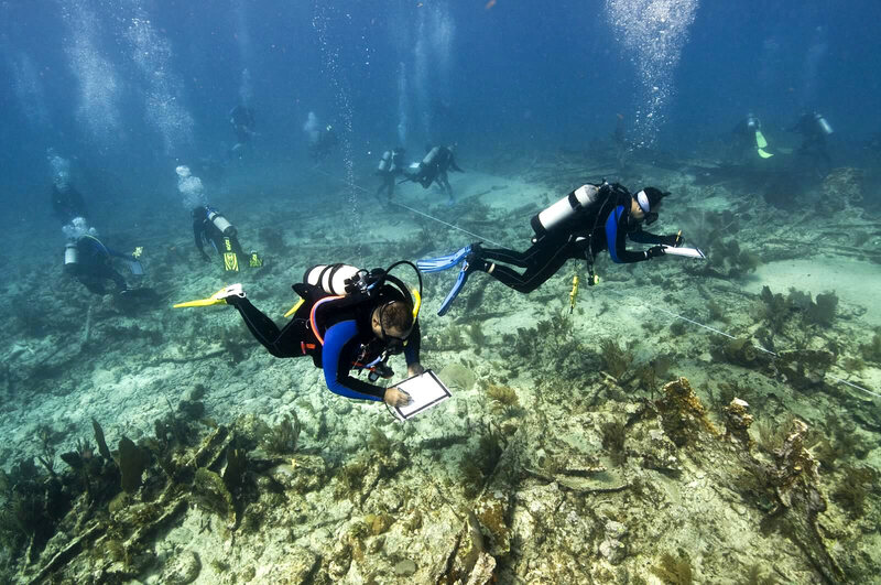 Divers study the SS <em>City Washington</em> in the Florida Keys National Marine Sanctuary.