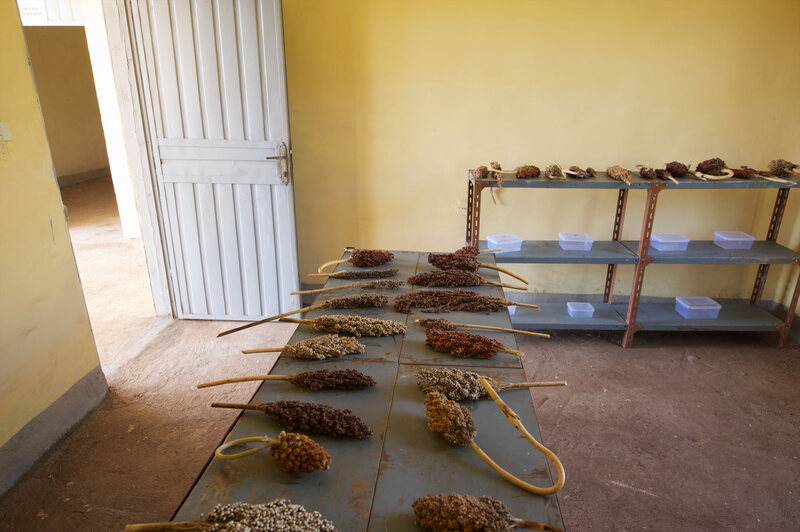 Inside a community seed bank in Ethiopia.