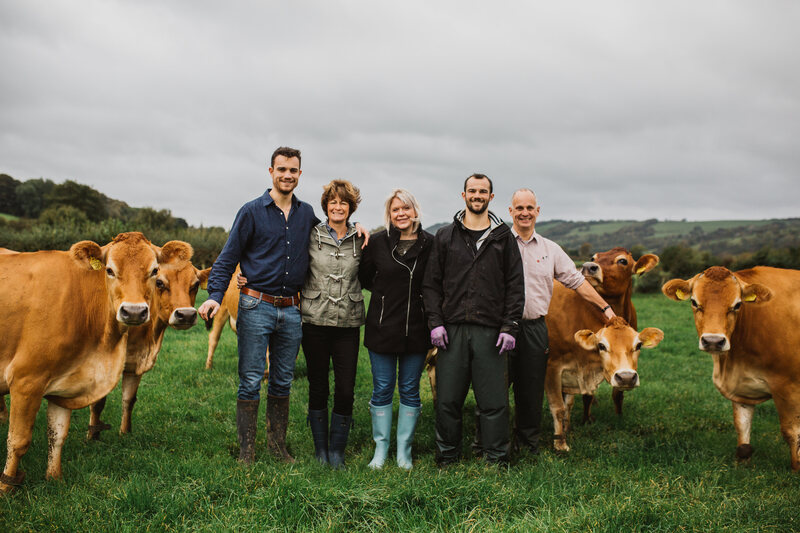 The Towers family with their herd of Jersey cows.