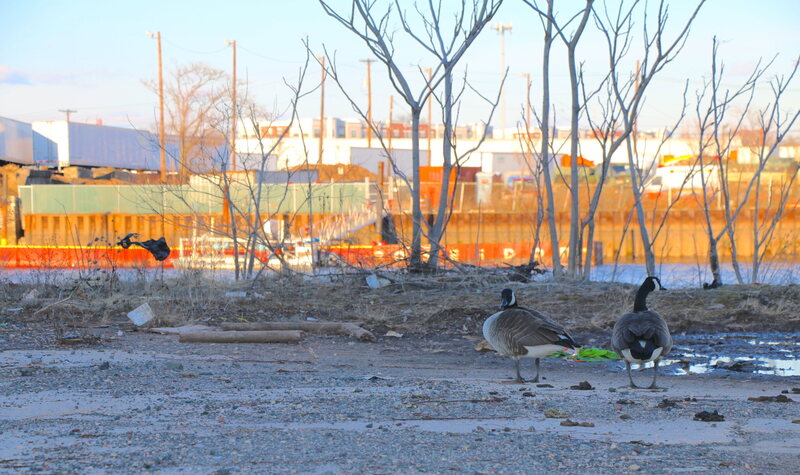 Muddy flats and shipping containers on the banks of the Passaic River in Newark, New Jersey.