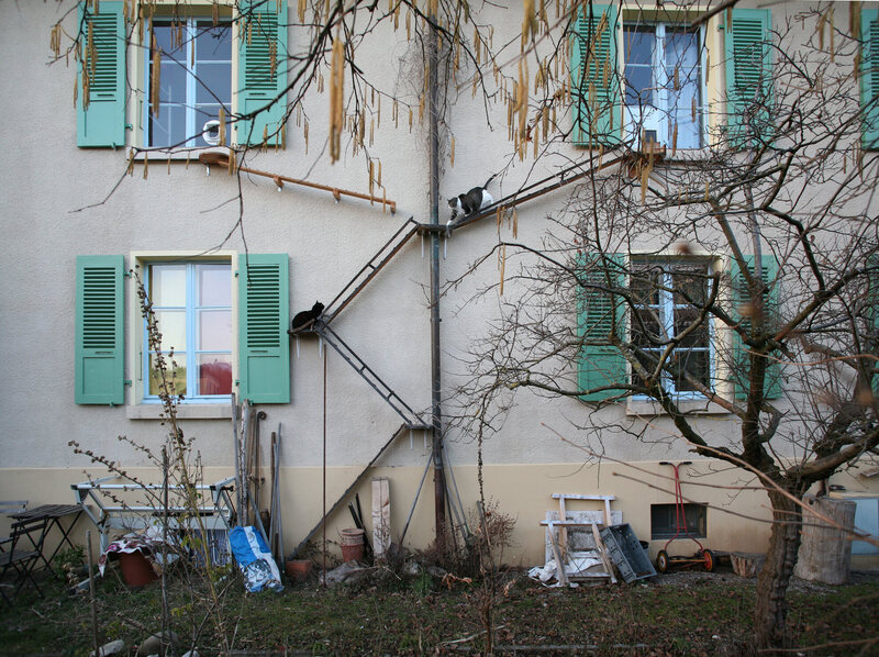 Cat Ladders of Europe