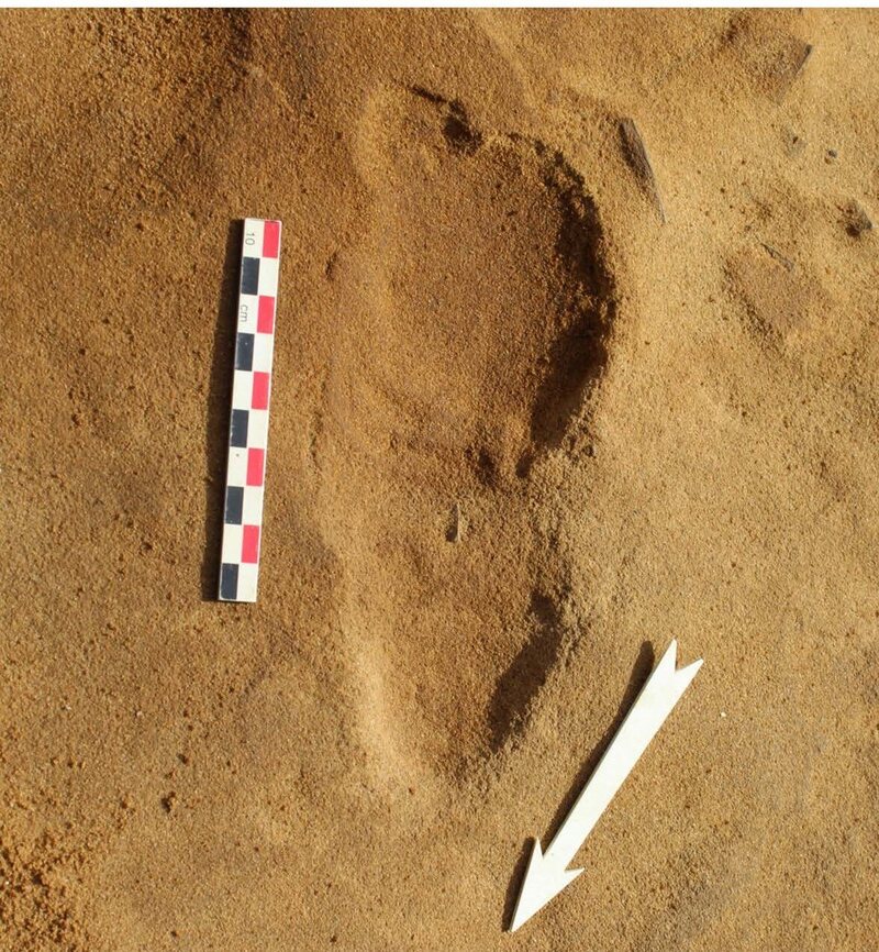 One of the 257 Neanderthal prints found.