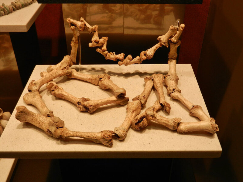 Necklace made from hand & foot bones at the National Museum of Anthropology, Mexico.