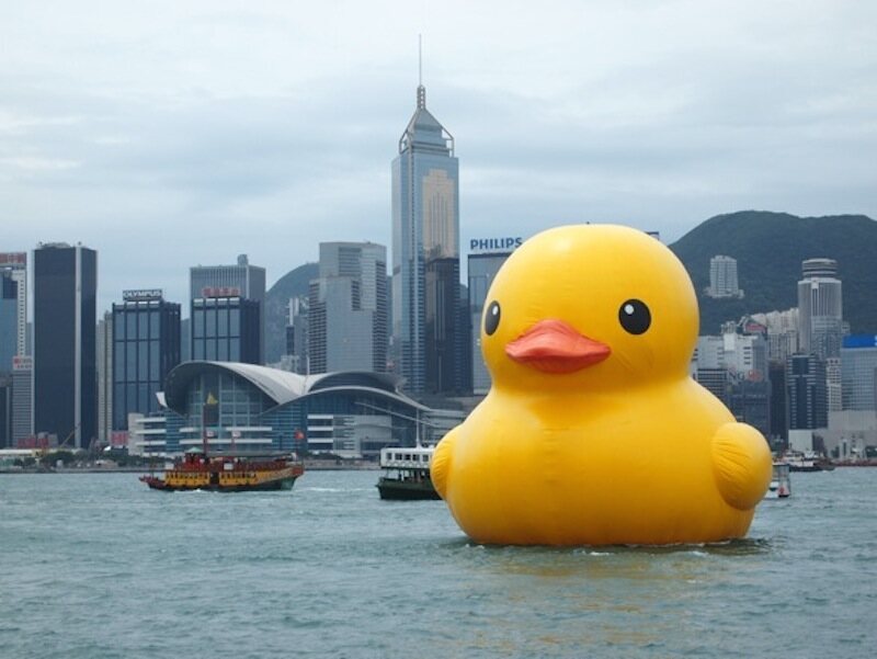 giant floating rubber duck