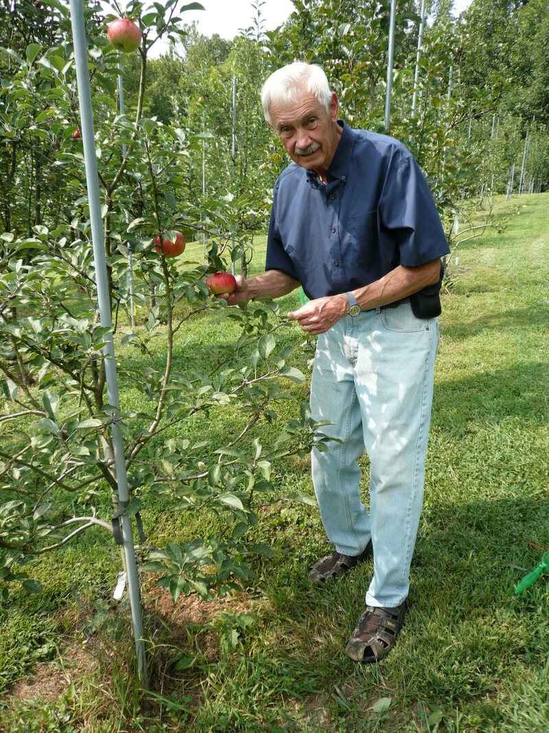 Brown with a tree of Improved Queen apples, one of the many varieties he located. 