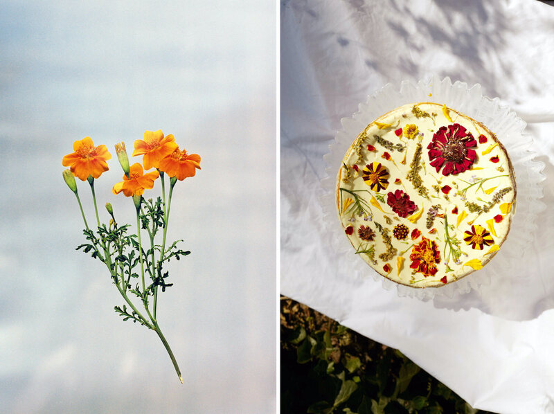 Chrysanthemums add some sunny color to baked goods and drinks.