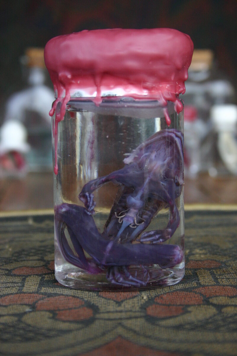 Dyeing the Dead: The Artful Science of Diaphonization - Atlas Obscura