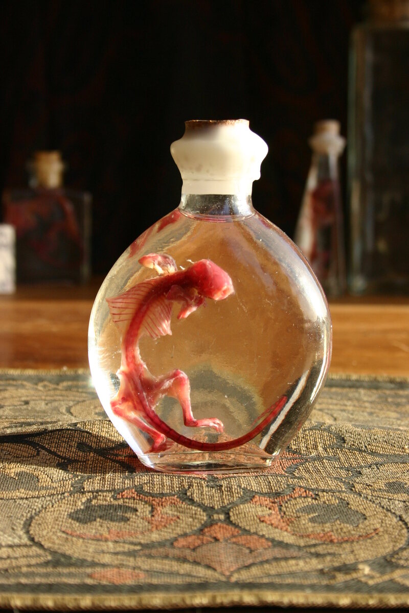 Dyeing the Dead: The Artful Science of Diaphonization - Atlas Obscura