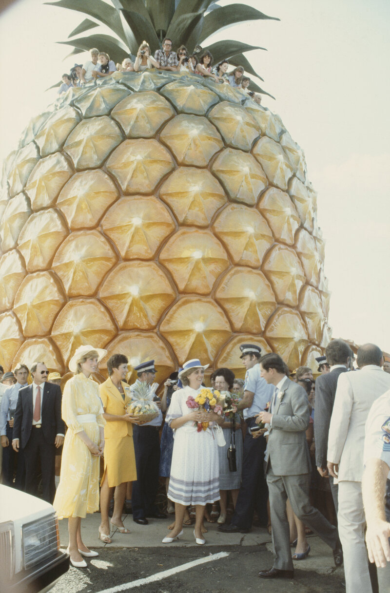 Le Big Pineapple est si emblématique que même le prince Charles et Diana, princesse de Galles, l'ont visité lors de leur tournée en 1983 en Australie. 