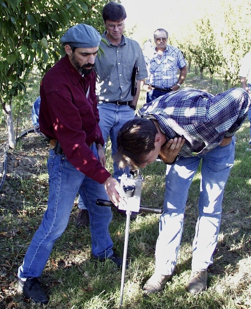 Ken Shackel and colleagues testing the stress levels of tree with a pressure bomb.