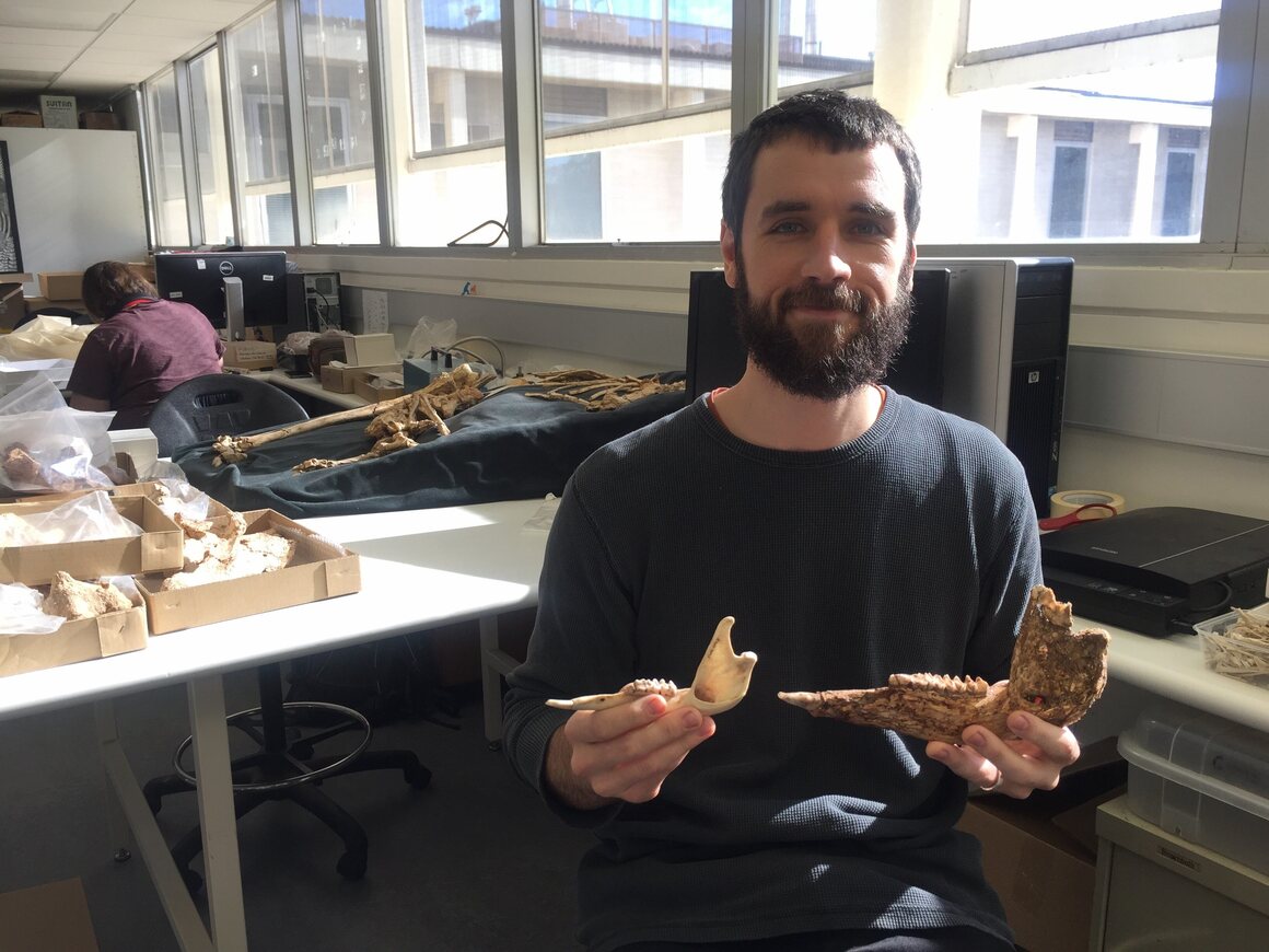 Isaac Kerr displays the fossil jaw of the giant kangaroo and the far smaller jaw of the red kangaroo.