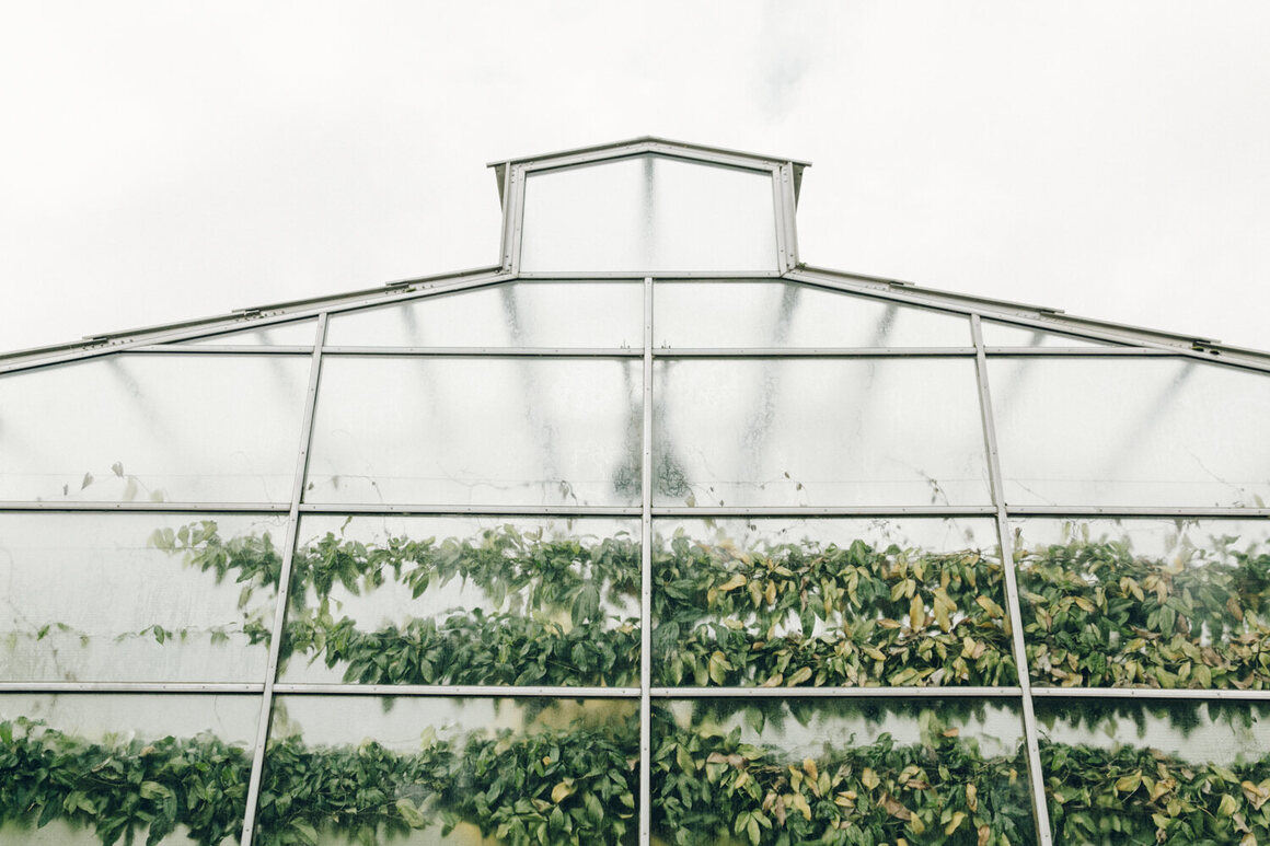 The Oxford Botanic Garden inspired the photographers to visit more greenhouses.