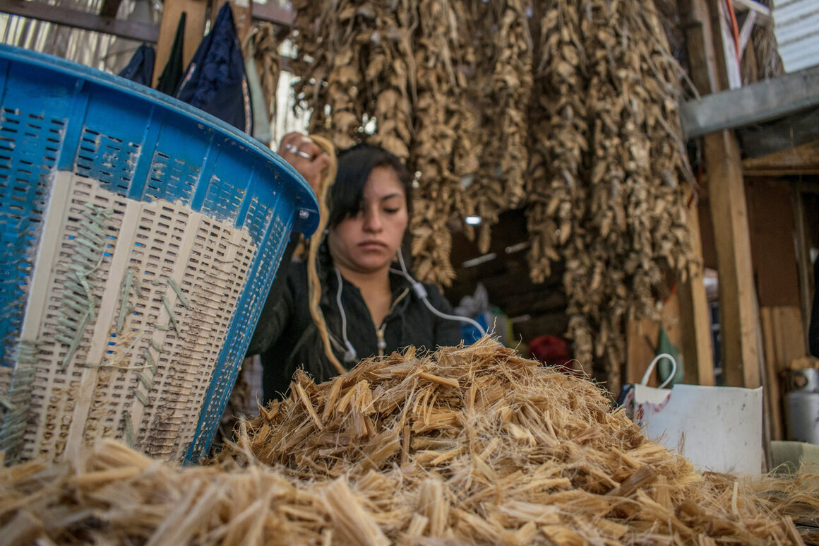 A young member of the collective trims freshly boiled fibers ready to be turned into paper. 