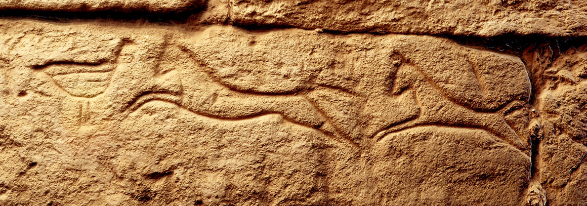 A graffito of a chicken facing two leaping horses in the            temple of El-Kurru.