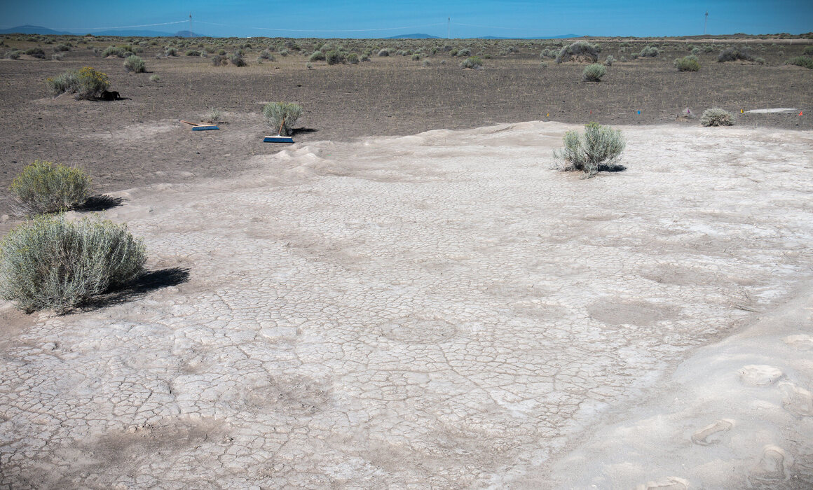 It’s easy to see why people might overlook Columbian mammoth trackways, like this one at Oregon’s Fossil Lake.