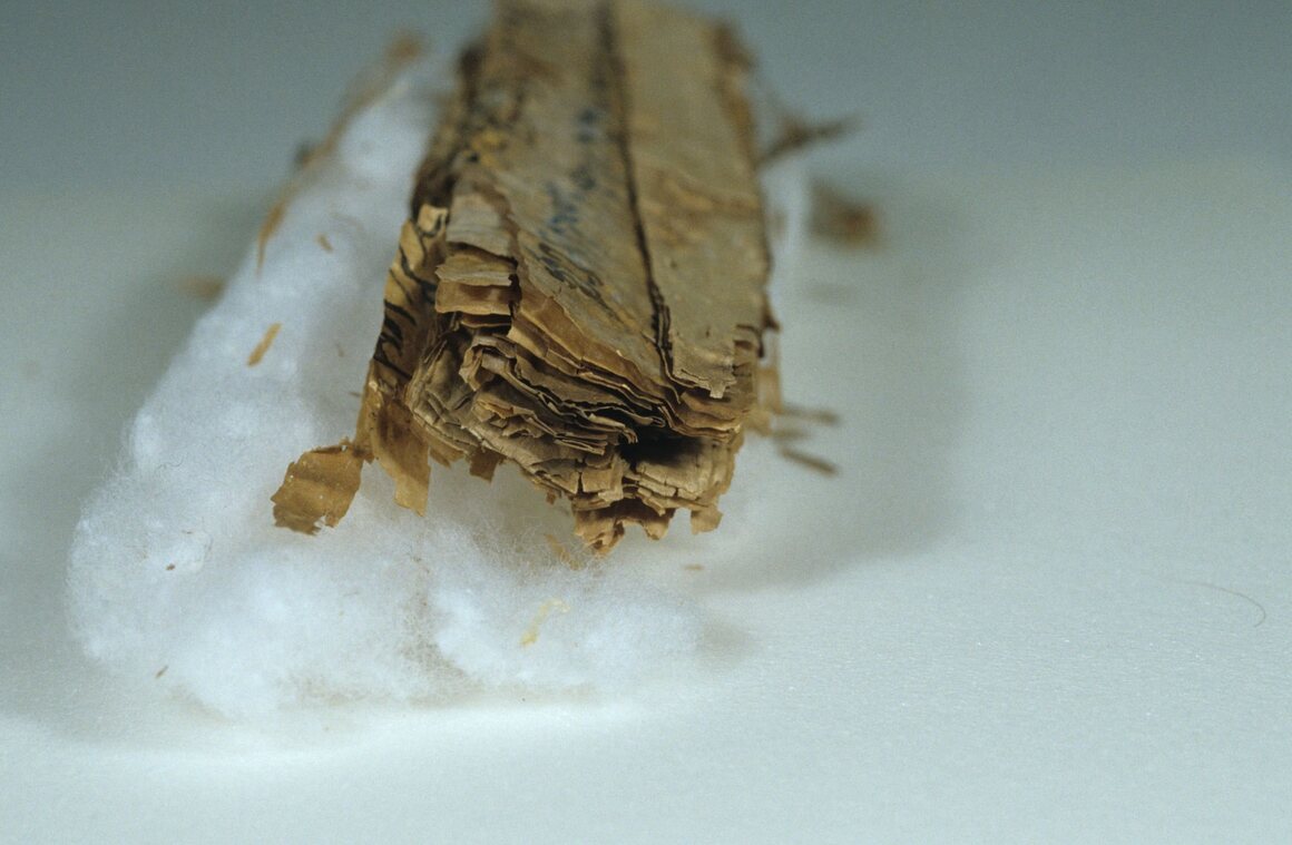 The rolled scroll, resting on its bed of cotton.