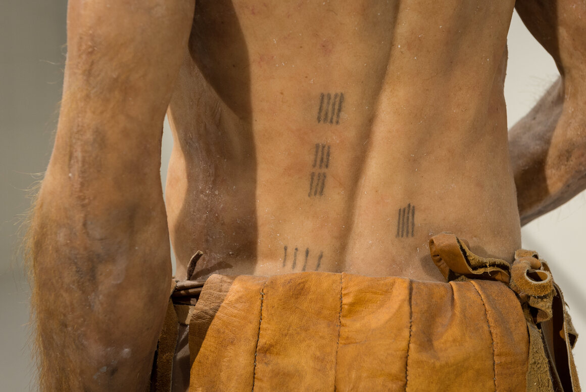 Ötzi also sports the world's oldest tattoos, shown here on a reconstruction of the mummy at the South Tyrol Museum of Archaeology in Bolzano, Italy.
