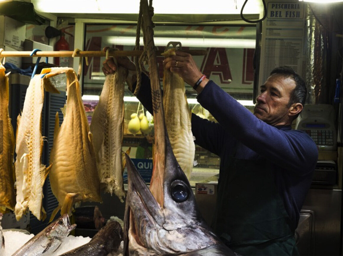A vendor hangs stockfish in a Genoa market.